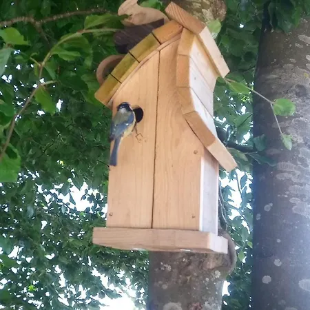 Aux Chevaux Rois Sainte-Ode