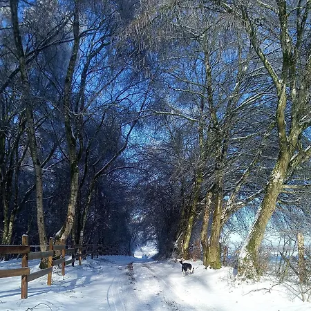 Aux Chevaux Rois Prázdninový dům Sainte-Ode
