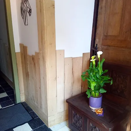 Aux Chevaux Rois Sainte-Ode