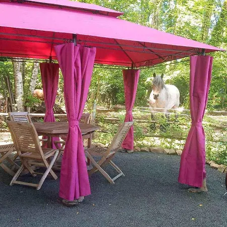 Prázdninový dům Aux Chevaux Rois